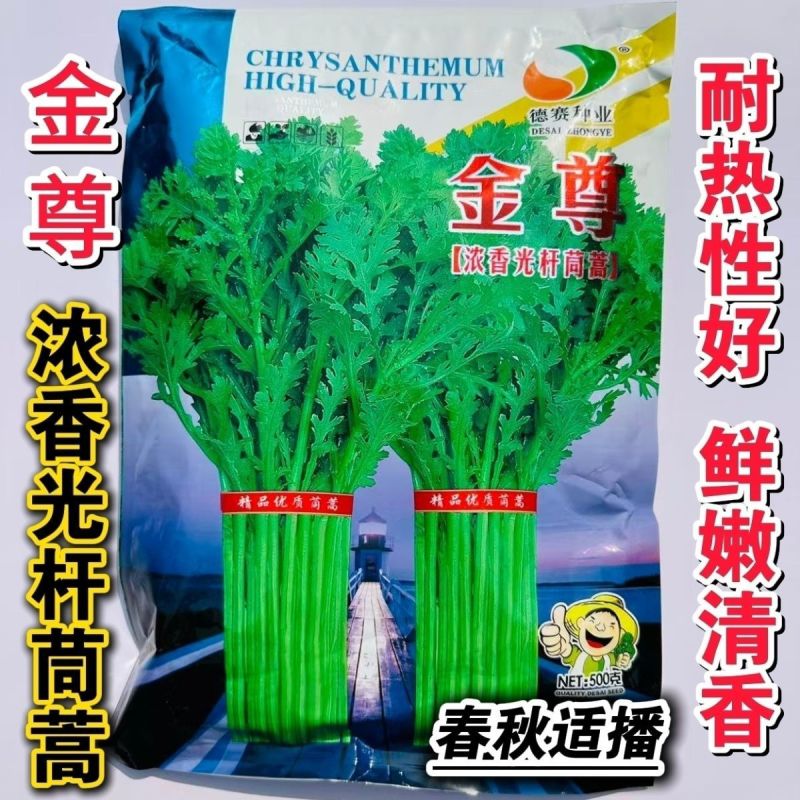 高杆茼蒿种子四季盆栽大田基地蔬菜皇帝菜青菜小叶茼蒿蔬菜种