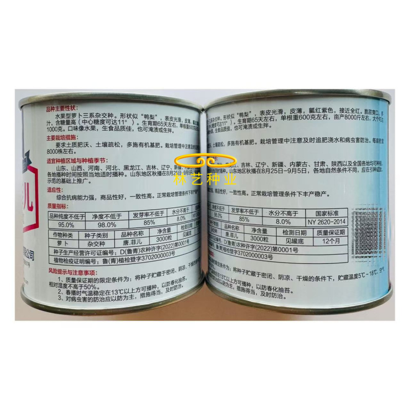唐菲儿杂交水果萝卜种子鸭梨状表皮光滑皮薄瓤色紫红含糖量