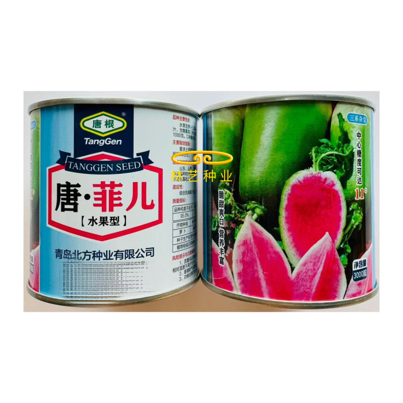 唐菲儿杂交水果萝卜种子鸭梨状表皮光滑皮薄瓤色紫红含糖量