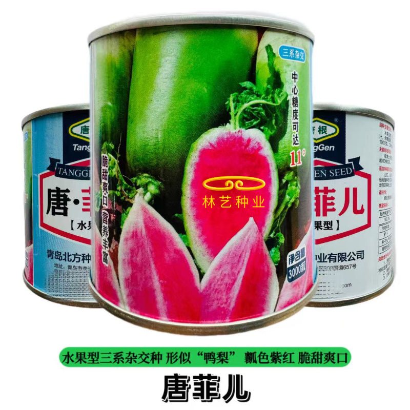唐菲儿杂交水果萝卜种子鸭梨状表皮光滑皮薄瓤色紫红含糖量