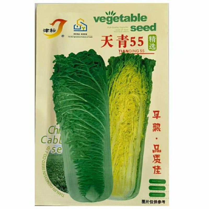 涵洋绿霸结球白菜种籽壮心快生食脆甜火锅菜大白菜种子耐寒