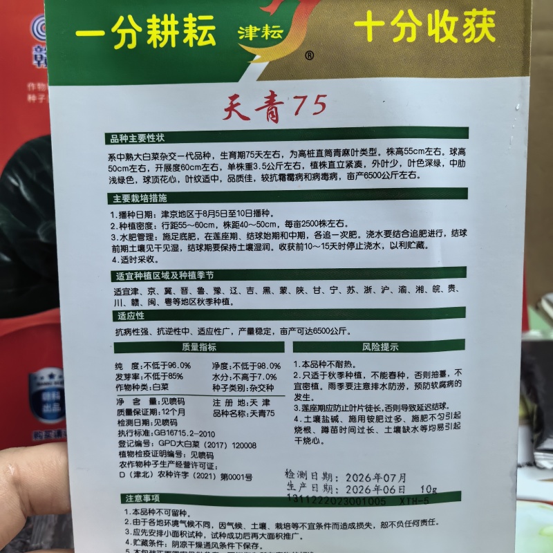 涵洋绿霸结球白菜种籽壮心快生食脆甜火锅菜大白菜种子耐寒