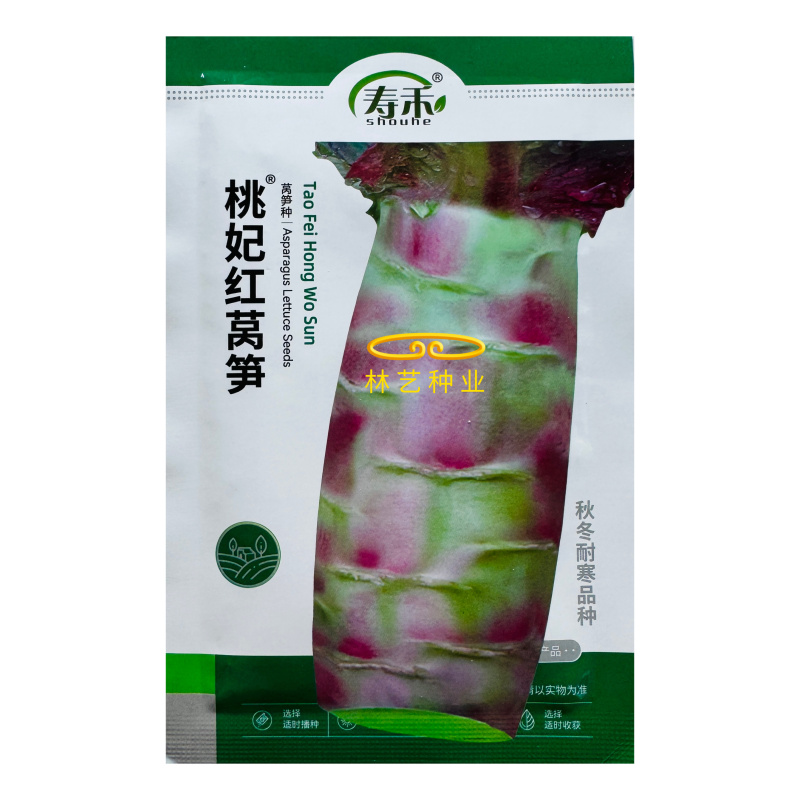 桃妃红莴笋种子红皮青笋耐寒莴苣种籽孑秋冬季菜种窝笋四季种