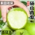 砀山梨