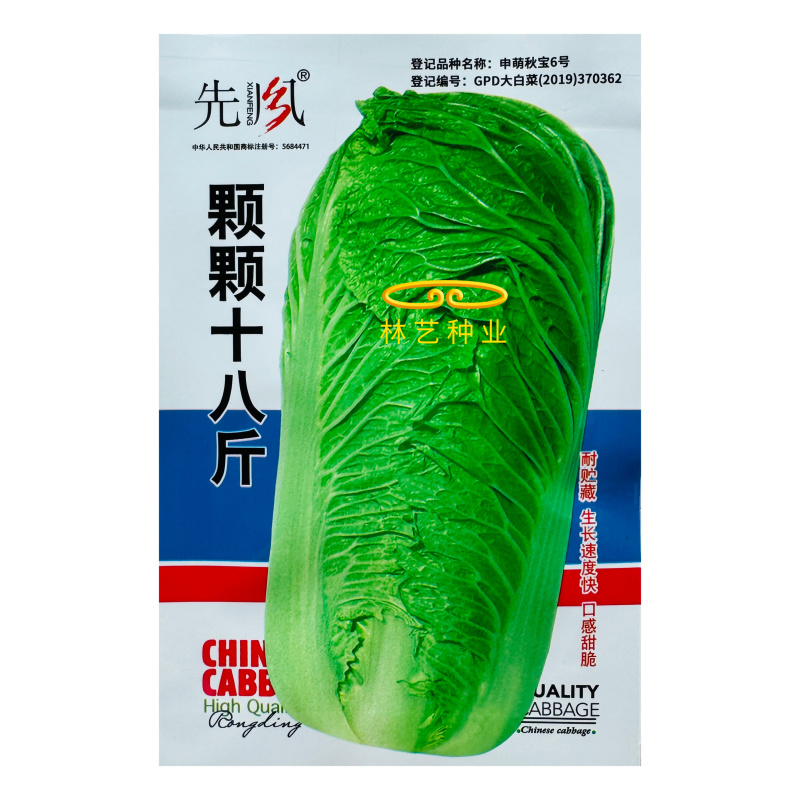 颗颗十八斤大白菜种子高产抗病中熟80天口生长速度快