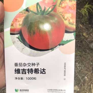 希达番茄