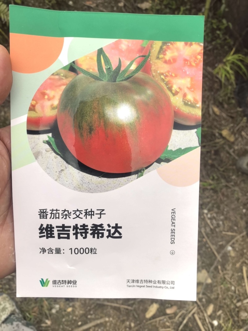 希达番茄