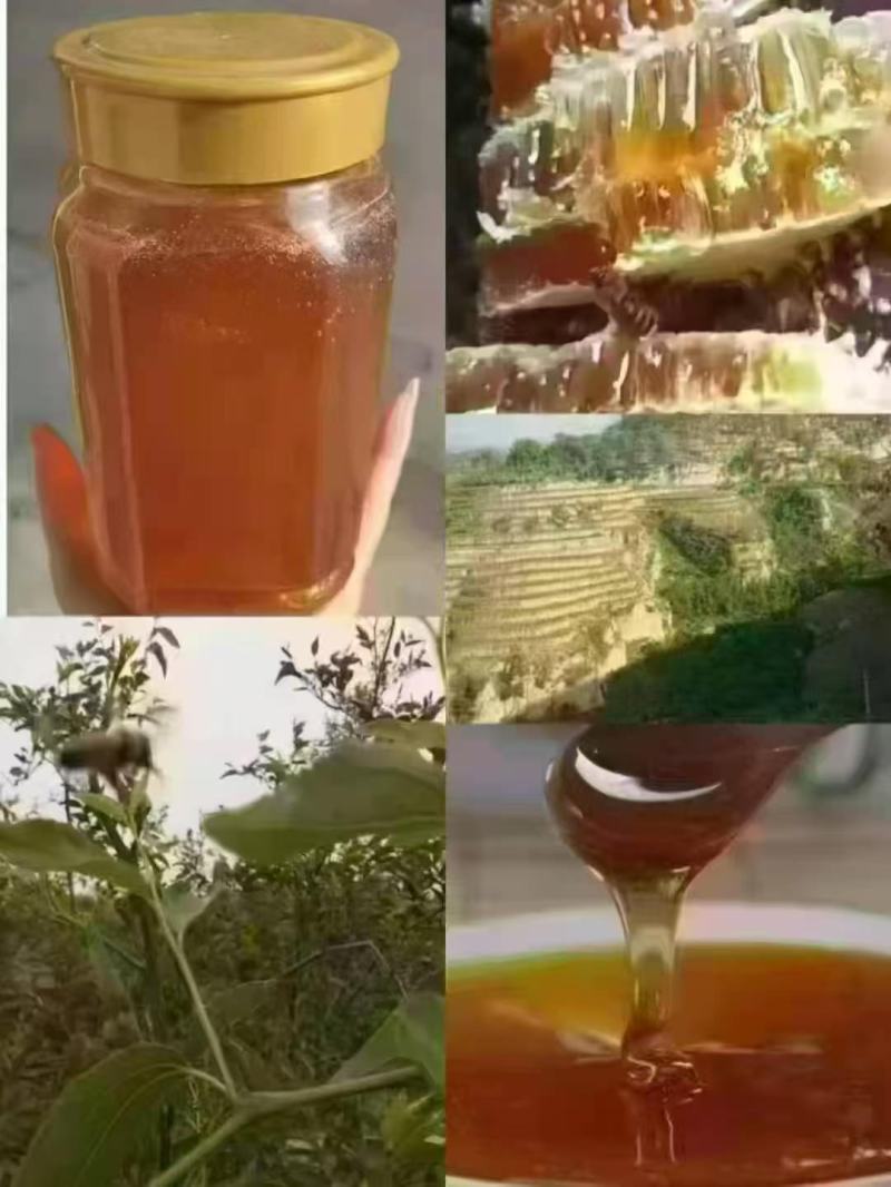 蜂蜜蜜桃132规格80黄桃530黄金蟠桃175号码