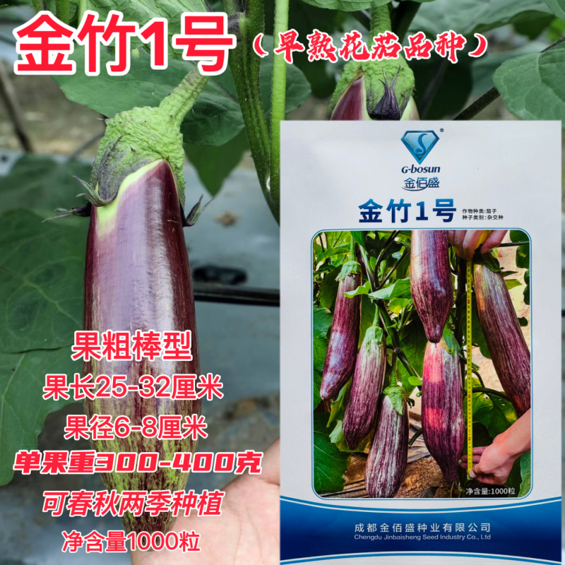 金竹1号竹丝茄子种子中早熟高产抗病耐热耐寒春秋播花茄种籽