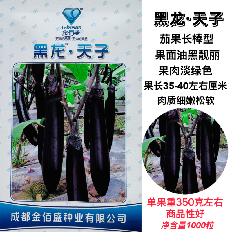 黑龙天子茄子种子杂交大龙茄子高产抗病亮丽油黑长茄子