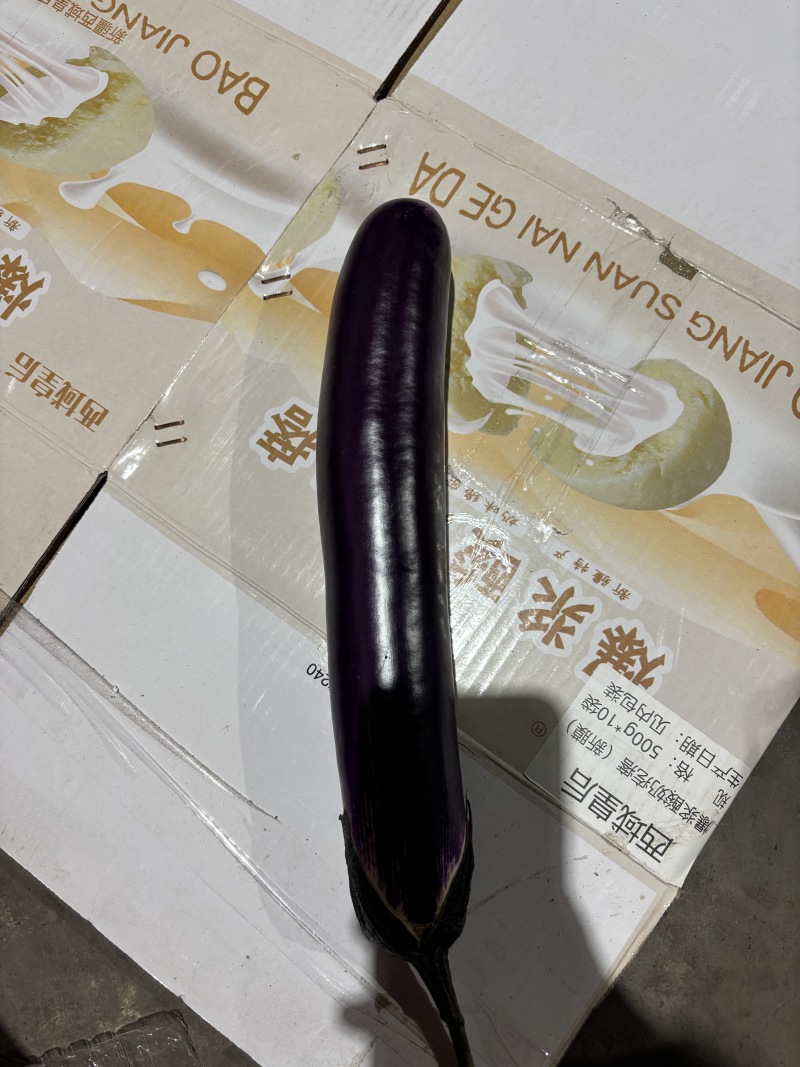 蔬菜基地直发丝瓜茄子，省去中间商差价