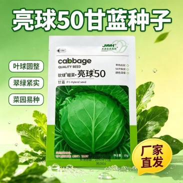 软绿喧菜亮球50甘蓝种子绿包菜种籽叶球深绿球型正圆光亮