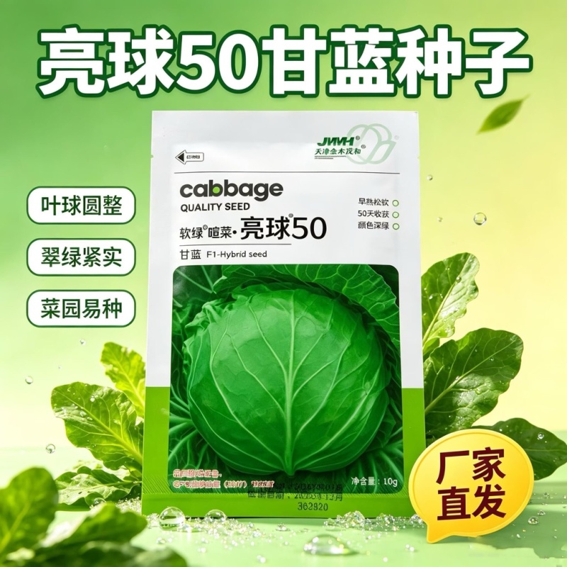 软绿喧菜亮球50甘蓝种子绿包菜种籽叶球深绿球型正圆光亮
