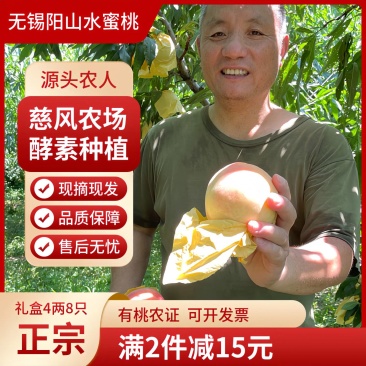 【1箱起售】4两8只慈风无锡阳山水蜜桃水密桃早桃白凤湖景