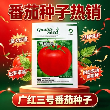 广红三号大红果番茄种子杂交中早熟抗病耐裂自封顶坐果率高