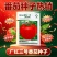 广红三号大红果番茄种子杂交中早熟抗病耐裂自封顶坐果率高