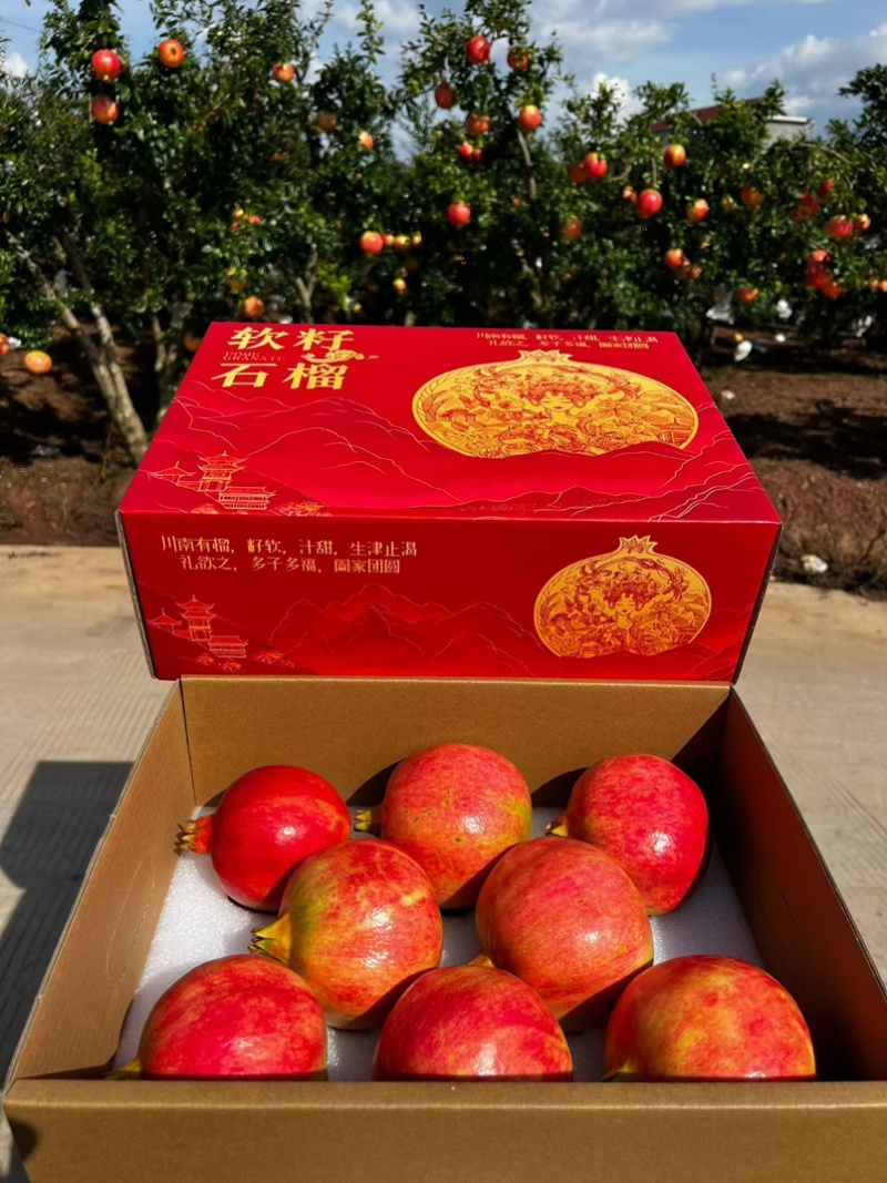 突尼斯软子石榴