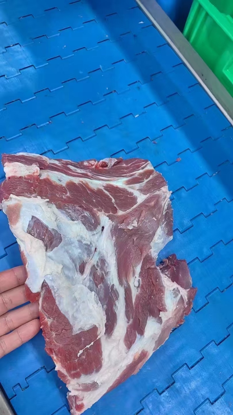 母猪去颈前排