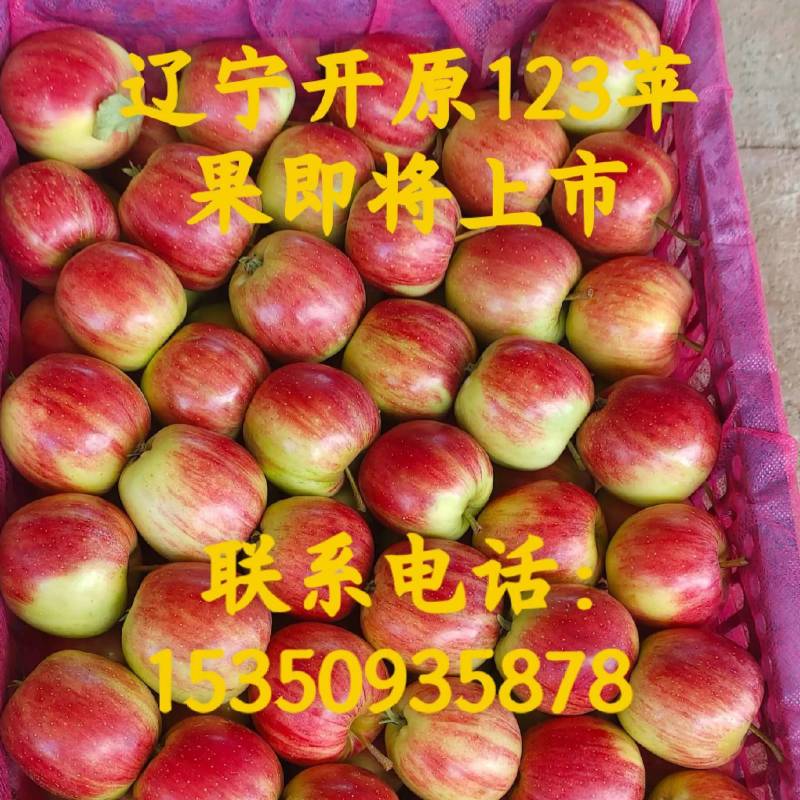 123小苹果品质保障，价格便宜，自有仓库及冷库