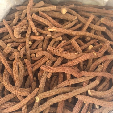 丹参批发产地货源价格优势