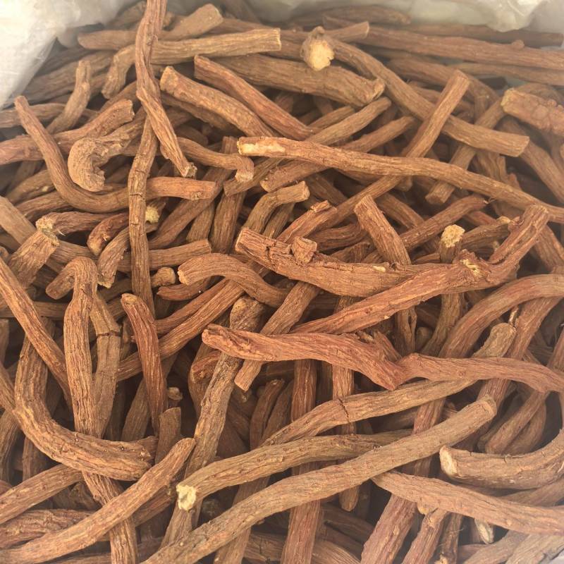 丹参批发产地货源价格优势
