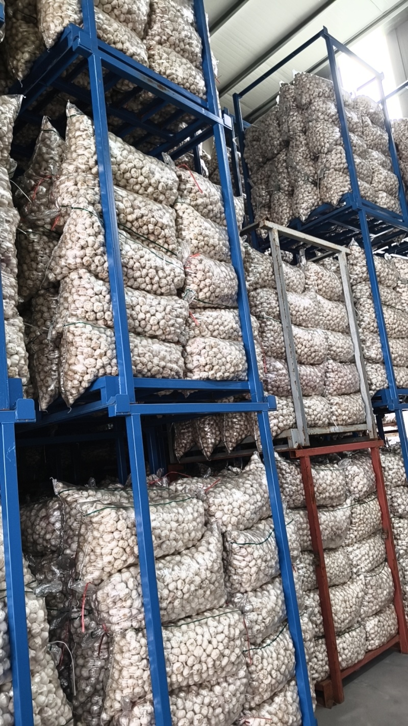 精品净蒜量大，大量干蒜，支持视频看货，可发往全国市场！