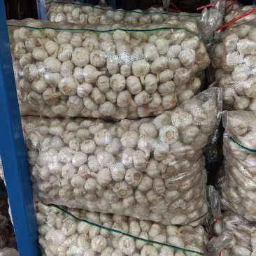 精品净蒜量大，大量干蒜，支持视频看货，可发往全国市场！