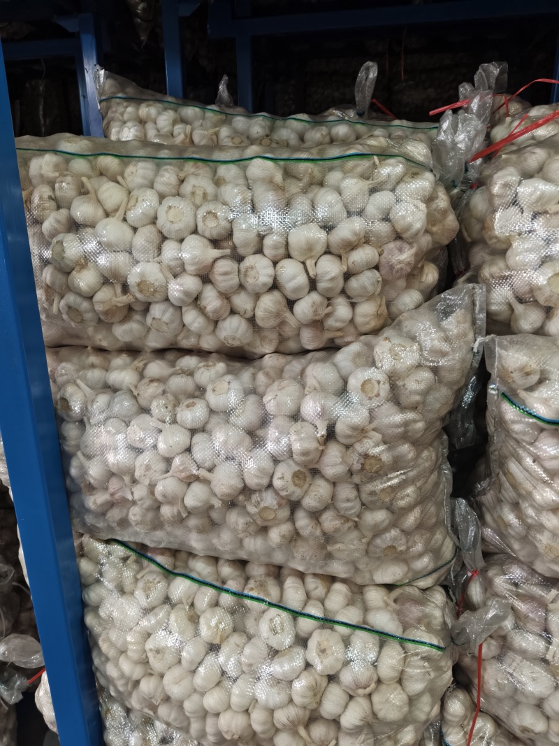 精品净蒜量大，大量干蒜，支持视频看货，可发往全国市场！