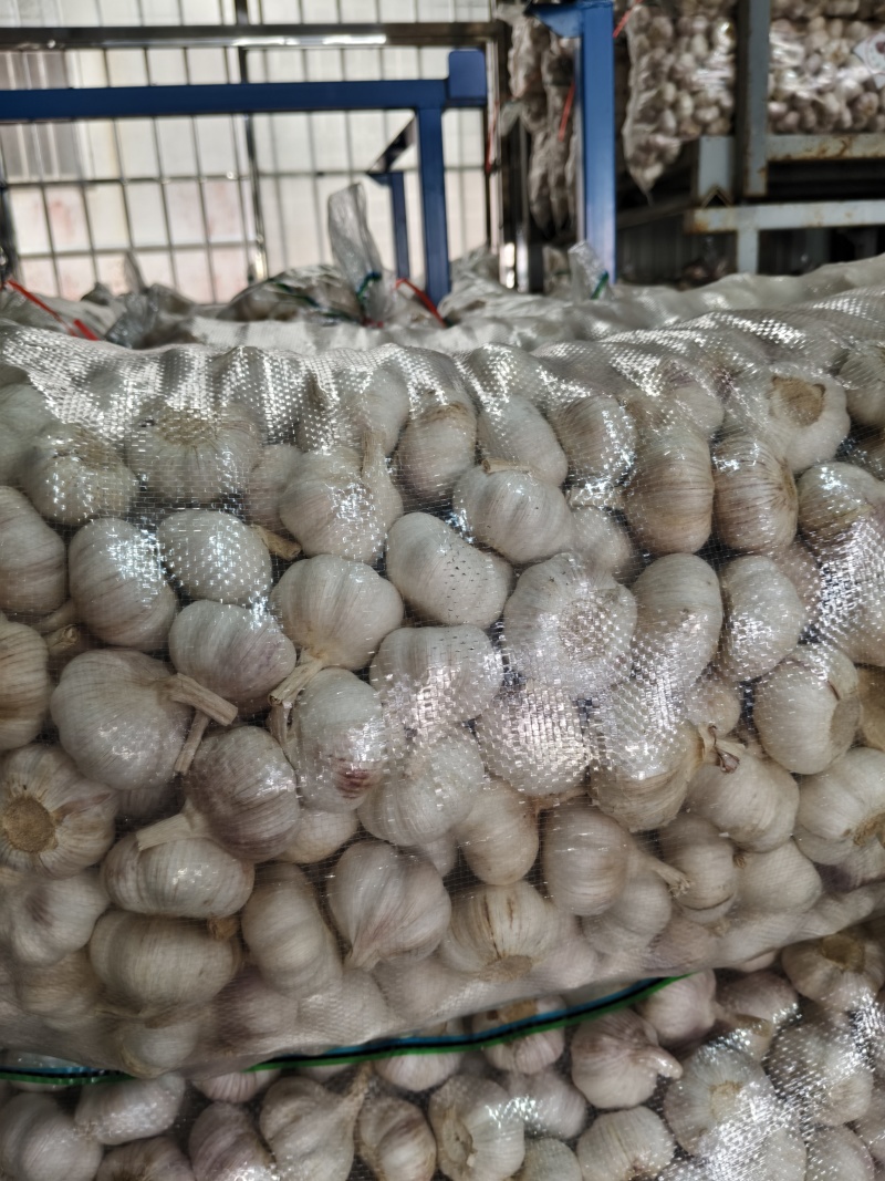 精品净蒜量大，大量干蒜，支持视频看货，可发往全国市场！