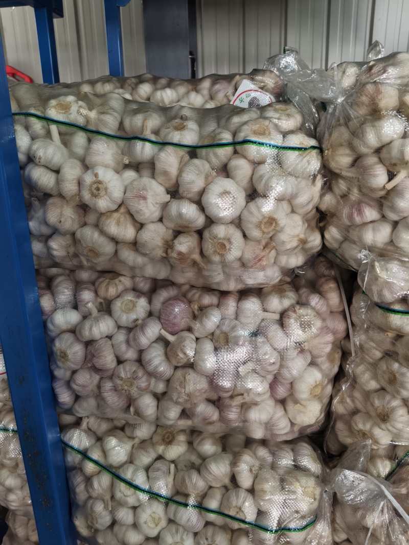 精品净蒜量大，大量干蒜，支持视频看货，可发往全国市场！