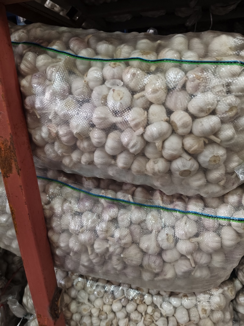 精品净蒜量大，大量干蒜，支持视频看货，可发往全国市场！
