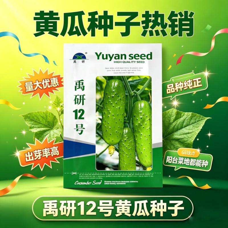 禹研12号旱黄瓜种子杂交纯雌型黄瓜种籽节间短白刺口感甜脆