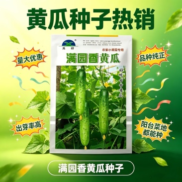 满园香黄瓜种子强雌型结瓜多黑刺口感甜脆节节有瓜水果旱黄瓜