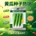 禹研七号旱黄瓜种子5g纯雌型节间短水果黄瓜种子小瘤白刺