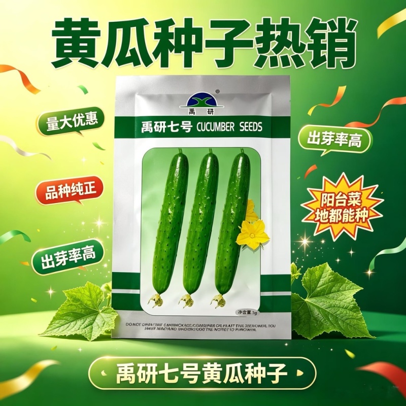 禹研七号旱黄瓜种子5g纯雌型节间短水果黄瓜种子小瘤白刺