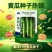 禹研11号旱黄瓜种子早熟黑刺脆嫩微甜香味浓郁水果黄瓜种子