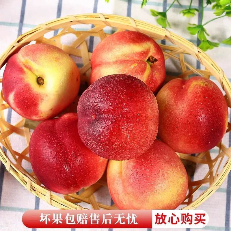 珍珠枣油桃对接各大电商一件代发日供3万单
