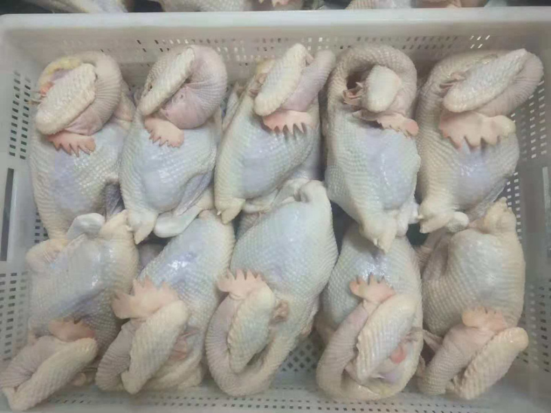 冻品老母鸡，冰鲜老母鸡