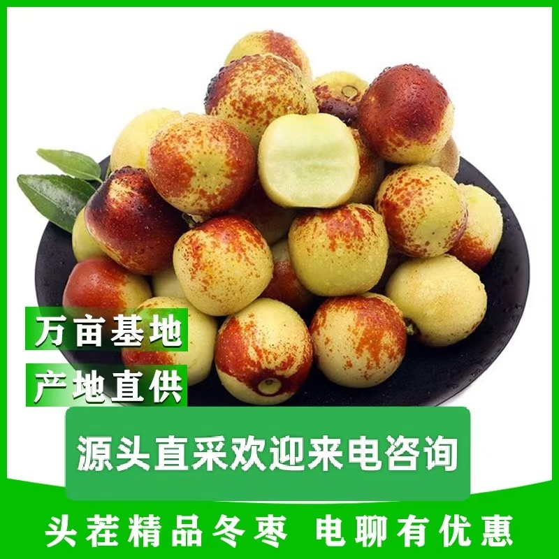 冬枣口感脆甜来电咨询专属价可供电商一件代发出口等贸易