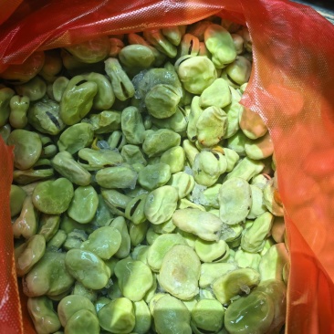 蚕豆煮熟冷动
