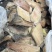 三文鱼，竹夹鱼，六线鱼，各种海鲜小块，大块，碎肉