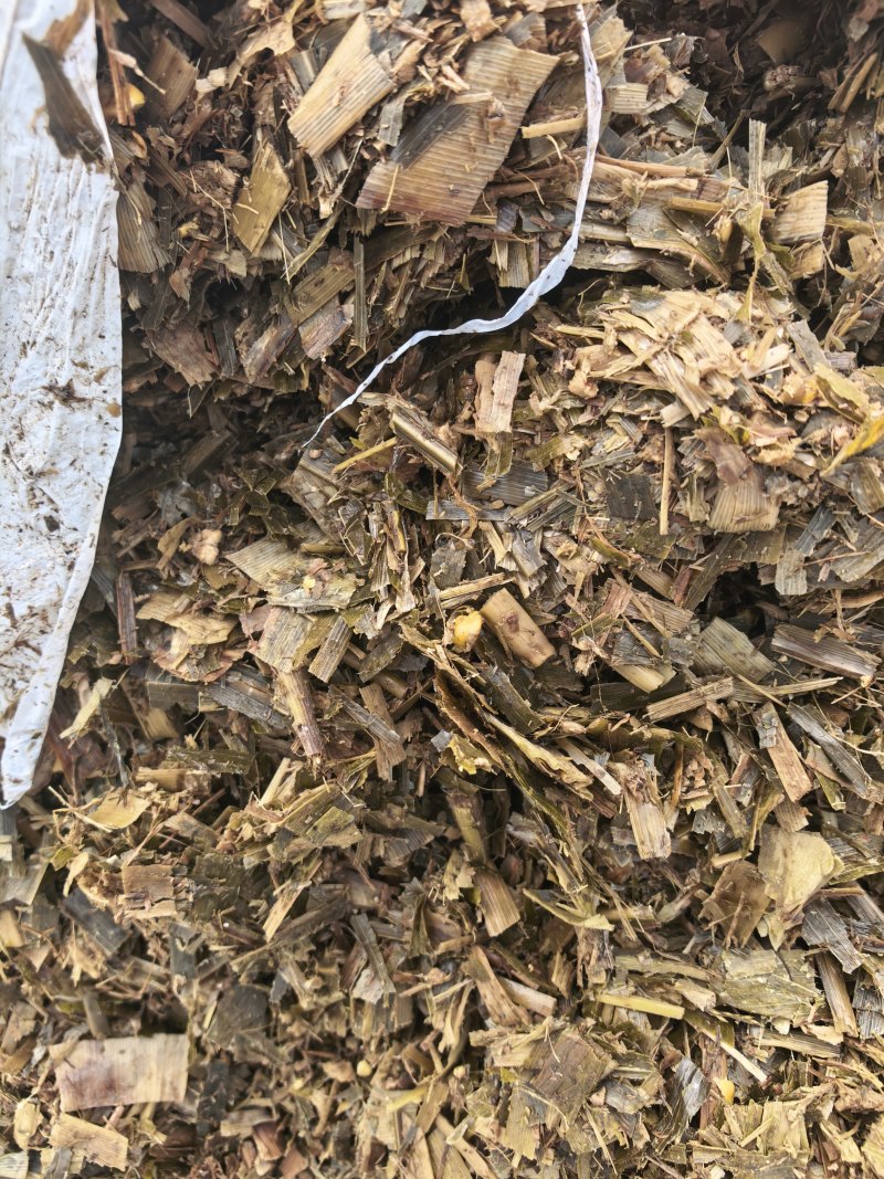 吨包储里面少有些玉米粒。