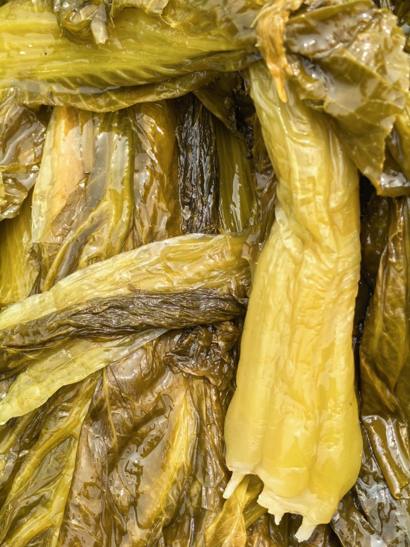 【酸菜包】腌制好的酸菜，鱼的酸菜和雪里红。