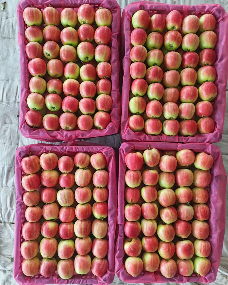 123