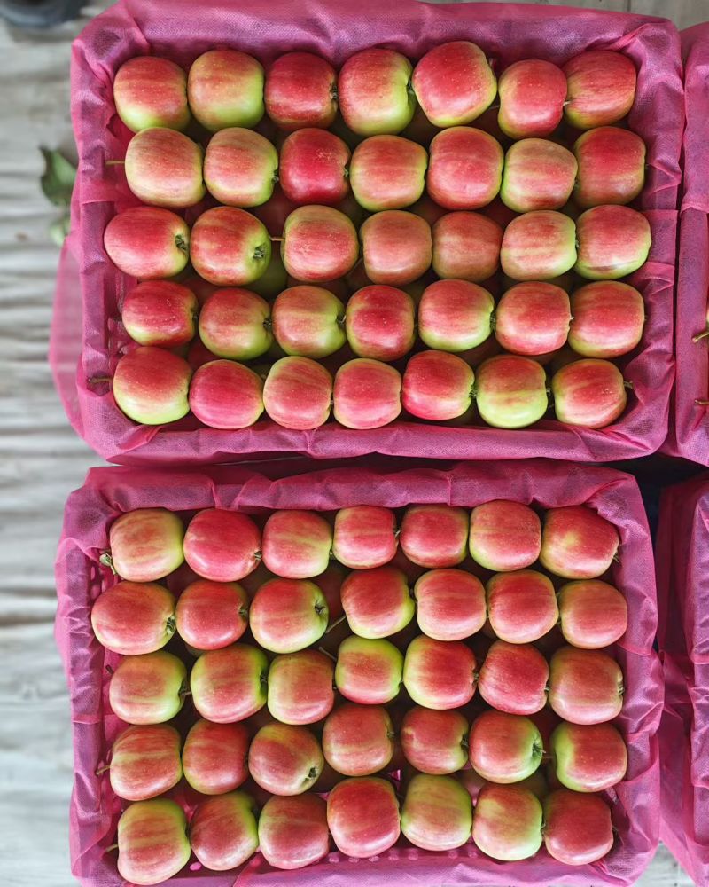 123