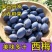 西梅新鲜现摘果园直供电商团购一件代发