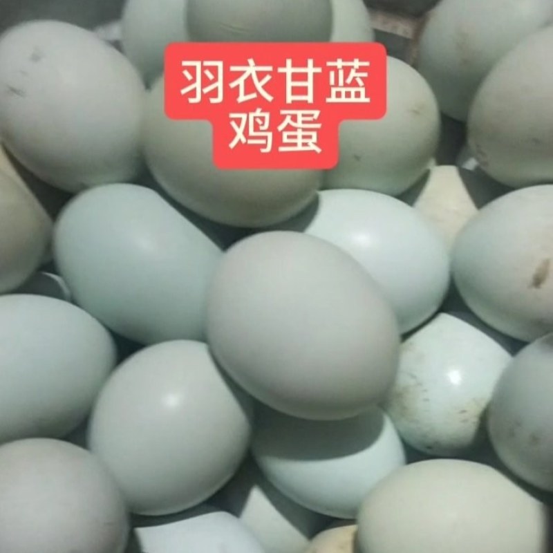 羽衣甘蓝土鸡蛋