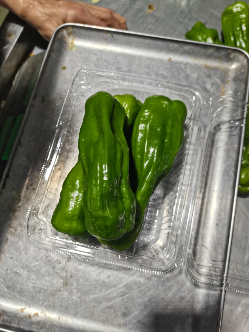 精品芜湖椒，10天后上市，1000斤起，需要的老板联系我