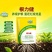 微生物菌剂根力健1000g袋装养根护根疏松土壤生根