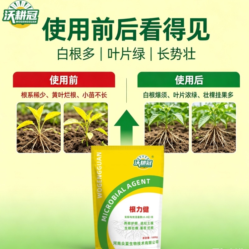 微生物菌剂根力健1000g袋装养根护根疏松土壤生根
